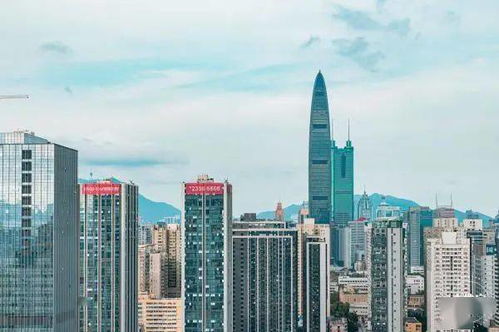 深圳8月15日 16日周末活动汇总