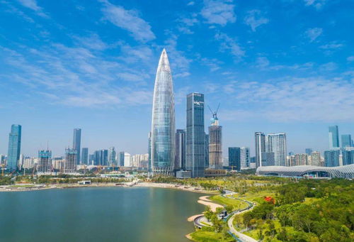2000万深圳人请回答 你为什么留在这座城市