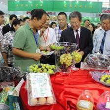 我司组织参加深圳国际现代绿色农业博览会