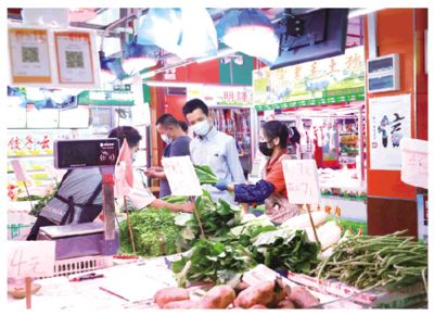 菜价回落 广东拎稳秋冬“菜篮子”