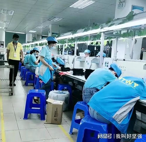 工厂员工月工资最高8000元,看他们一天都是在打混,工资还很高